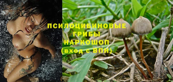 эйфоретик Дубовка