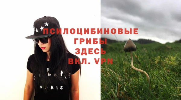 гашиш Дмитриев