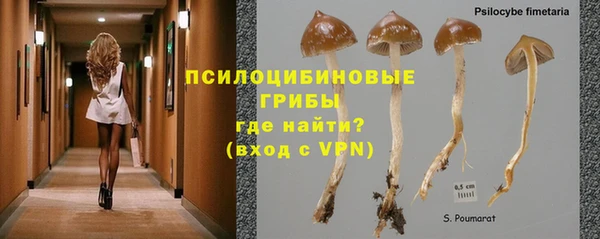 спиды Дрезна