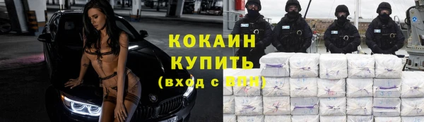 гидра Дмитров