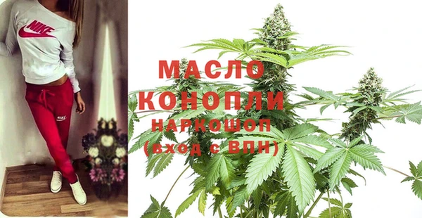 гидра Дмитров