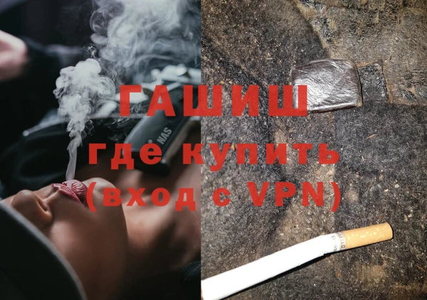гидра Дмитров